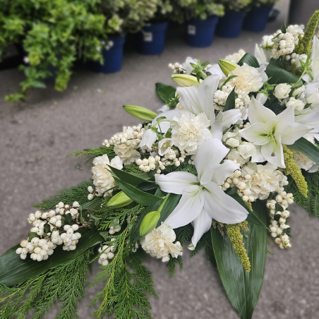 Grande Raquette blanche