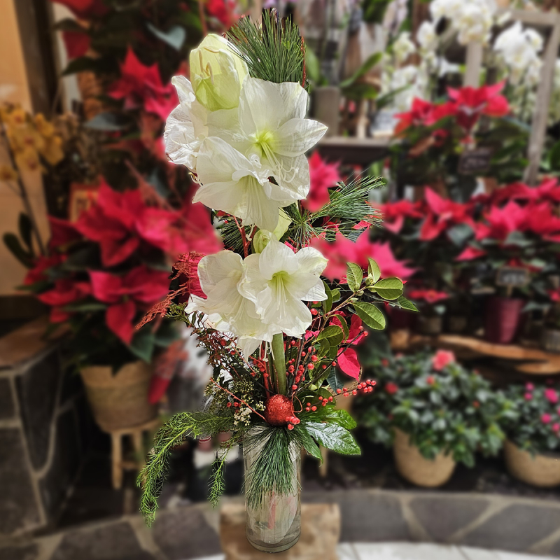 Grand bouquet de Noël