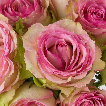 Bouquet de roses pâles espérance