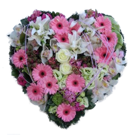 Coeur végétatif deuil rose blanc