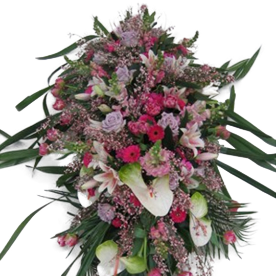 Dessus de cercueil dégradé de rose