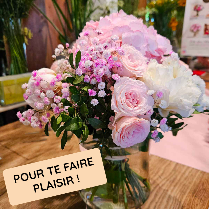 Abonnement Plaisir Abonnement Plaisir