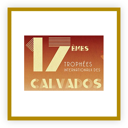 17ème trophées internationaux des Calvados
